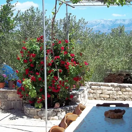 In Mirca With Terrace Tatil Evi *